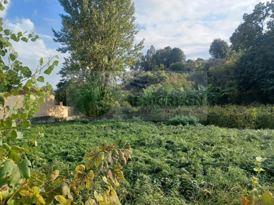 Terreno para Venda em Sever do Vouga Foto 5