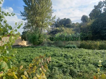 Terreno para Venda em Sever do Vouga
