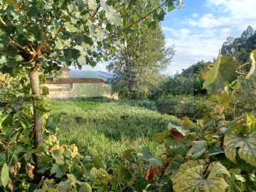Terreno para Venda em Sever do Vouga