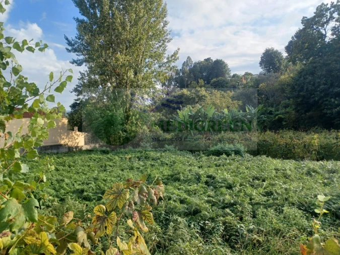 Terreno para Venda em Sever do Vouga Foto 5