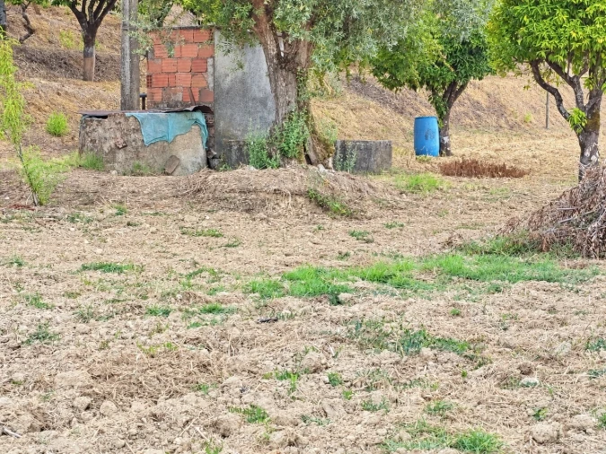 Moradia T3 para Venda em Brogueira, Parceiros de Igreja e Alcorochel Foto 14