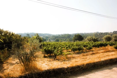 Terreno para Venda em Vilar Seco