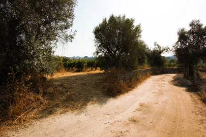 Terreno para Venda em Vilar Seco