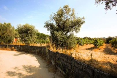 Terreno para Venda em Vilar Seco