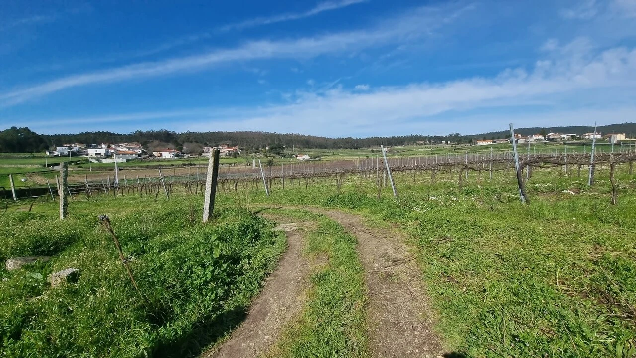Terreno para Venda em Chorente, Góios, Courel, Pedra Furada e Gueral Foto 9