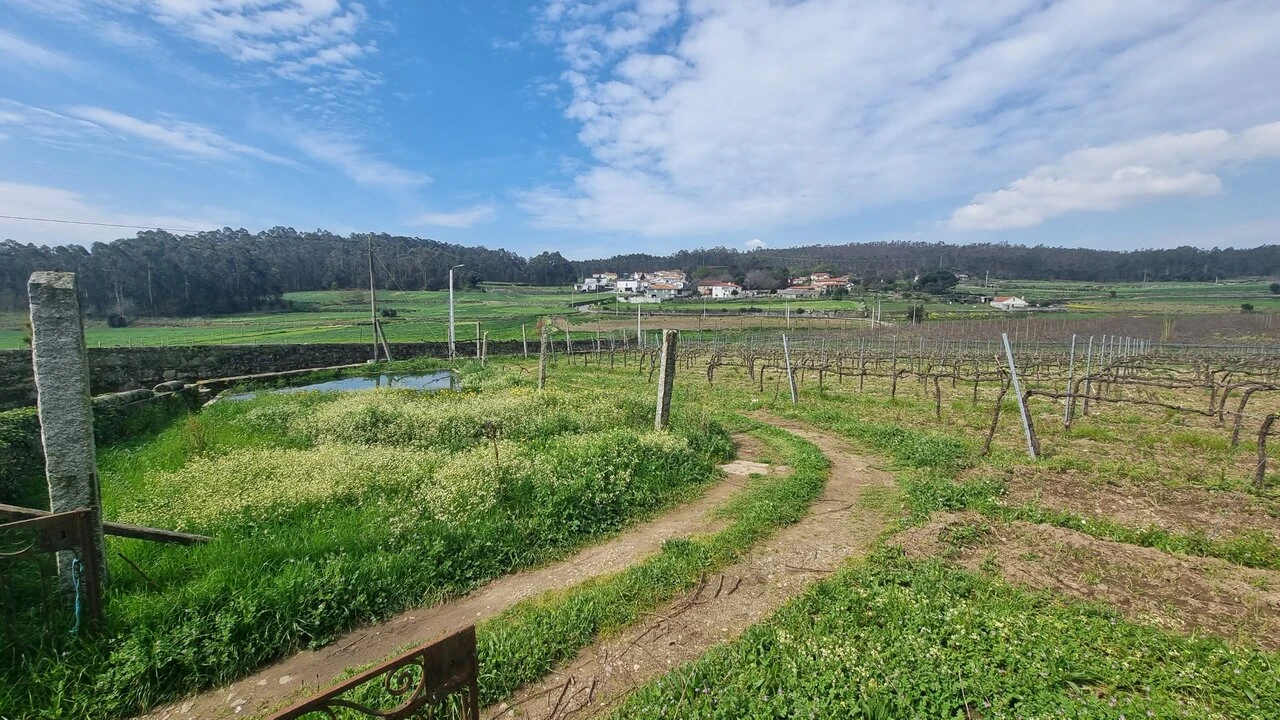 Terreno para Venda em Chorente, Góios, Courel, Pedra Furada e Gueral Foto 10