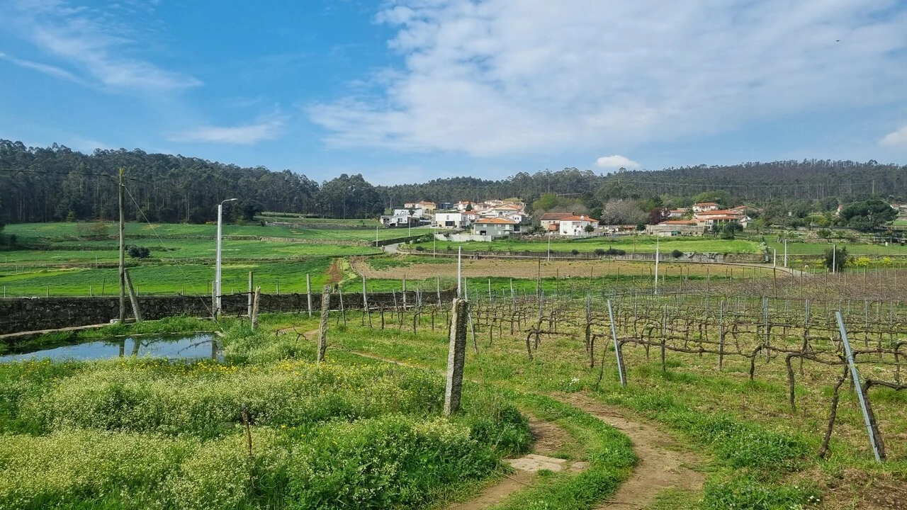 Terreno para Venda em Chorente, Góios, Courel, Pedra Furada e Gueral Foto 12