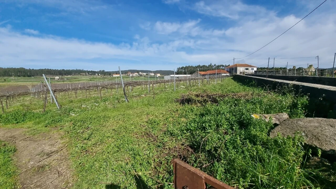 Terreno para Venda em Chorente, Góios, Courel, Pedra Furada e Gueral Foto 8