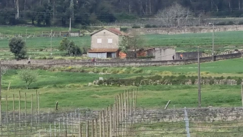 Terreno para Venda em Chorente, Góios, Courel, Pedra Furada e Gueral