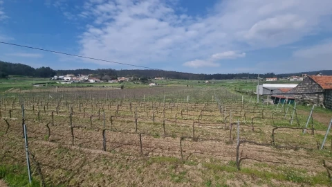 Terreno para Venda em Chorente, Góios, Courel, Pedra Furada e Gueral