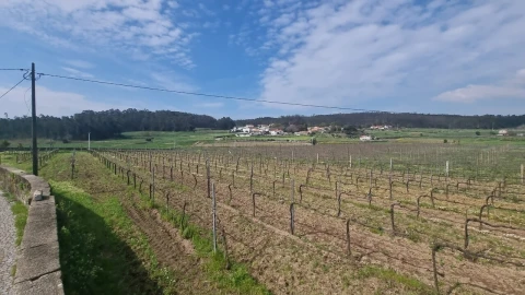 Terreno para Venda em Chorente, Góios, Courel, Pedra Furada e Gueral