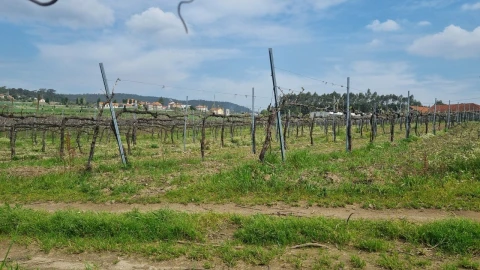 Terreno para Venda em Chorente, Góios, Courel, Pedra Furada e Gueral