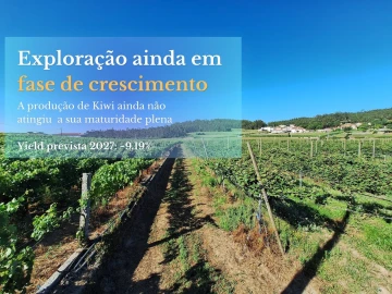 Terreno para Venda em Chorente, Góios, Courel, Pedra Furada e Gueral