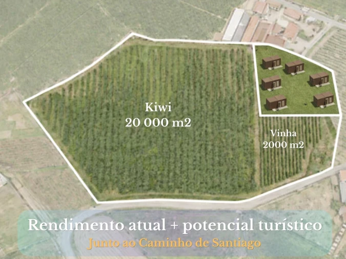 Terreno para Venda em Chorente, Góios, Courel, Pedra Furada e Gueral Foto 7
