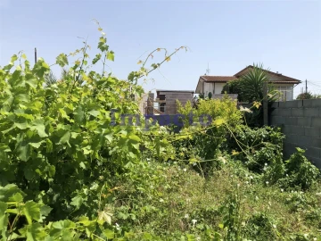 Moradia T1 para Venda em Vila de Cucujães
