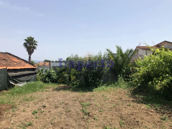 Moradia T1 para Venda em Vila de Cucujães Foto 3