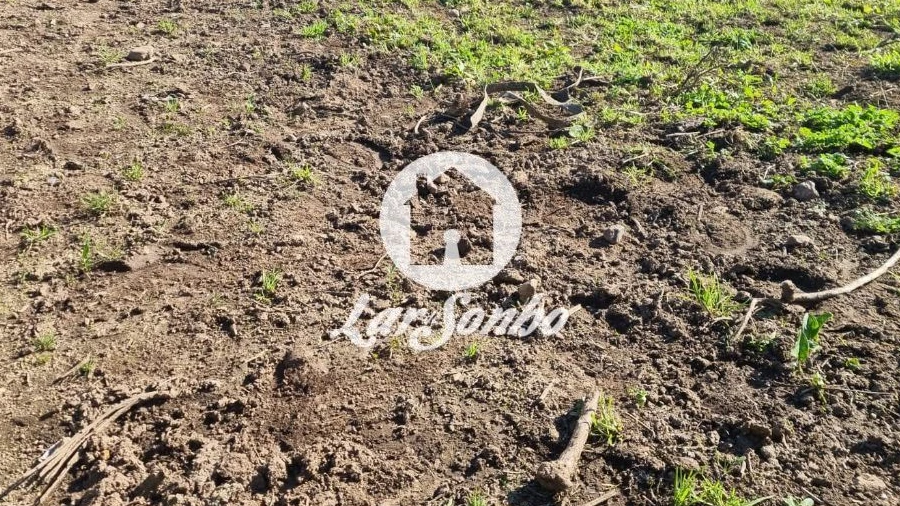 Terreno Agricola ou Rústico para Venda em Cristelo