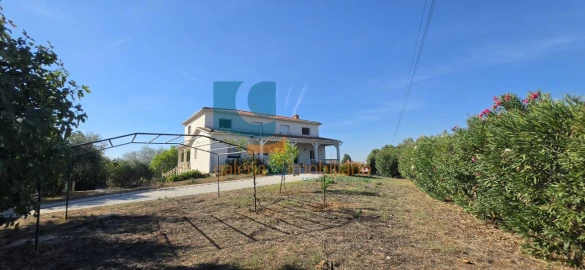 Moradia T6 para Venda em Torres Novas (Santa Maria, Salvador e Santiago)