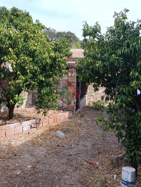 Moradia T3 para Venda em Alpalhão