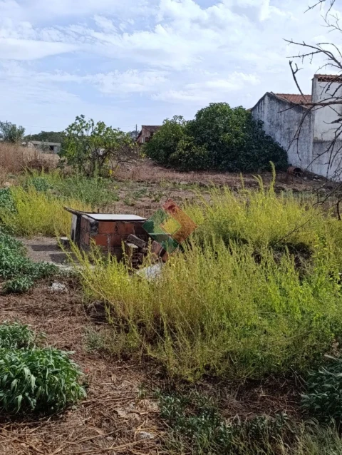 Moradia T3 para Venda em Alpalhão