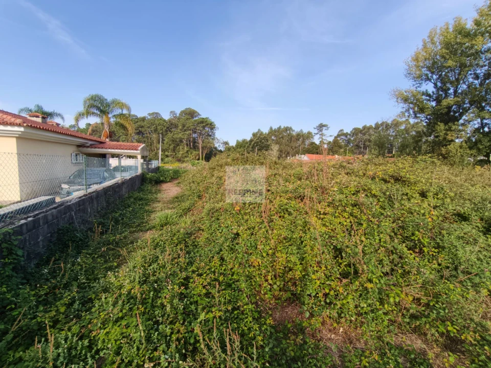 Terreno Agricola ou Rústico para Venda em Grijó e Sermonde Foto 3
