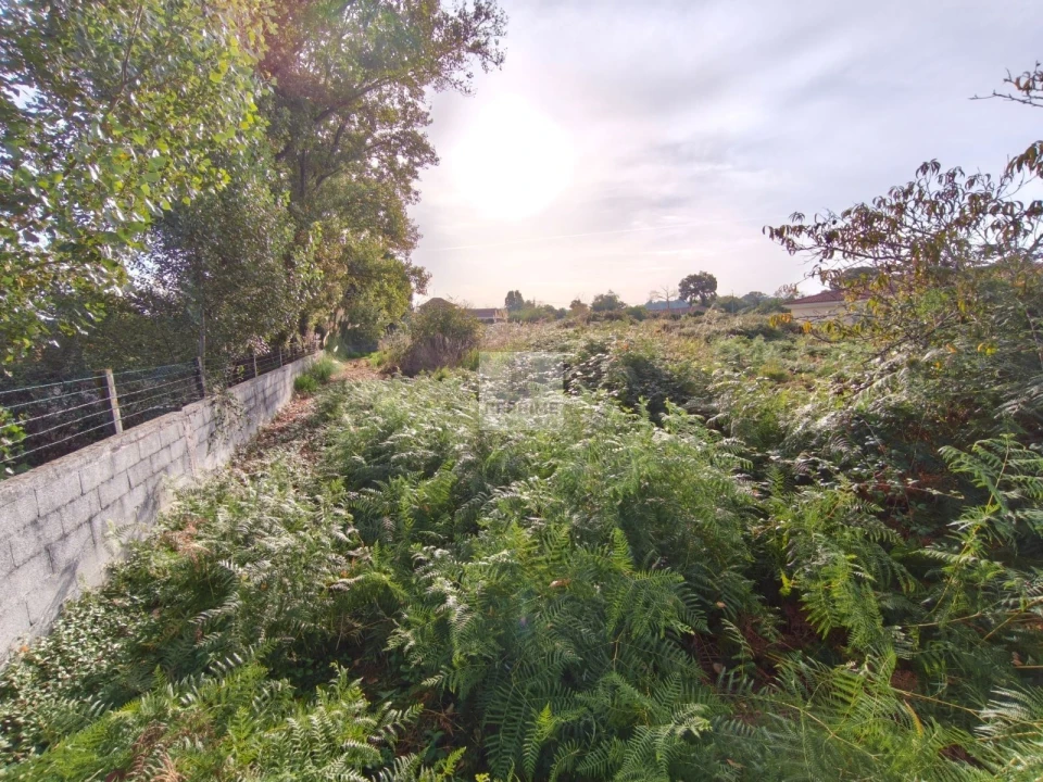 Terreno Agricola ou Rústico para Venda em Grijó e Sermonde Foto 4