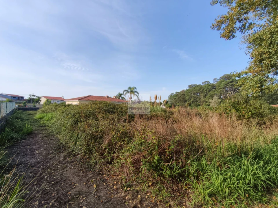 Terreno Agricola ou Rústico para Venda em Grijó e Sermonde Foto 7