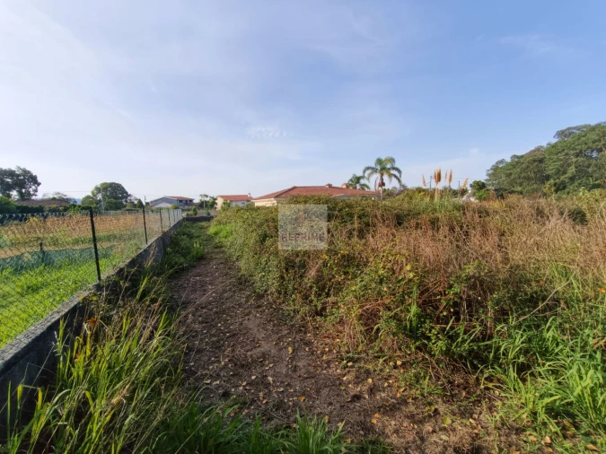 Terreno Agricola ou Rústico para Venda em Grijó e Sermonde Foto 5