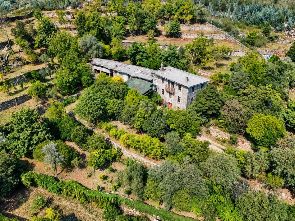 Quinta T3 para Venda em São Torcato Foto 1