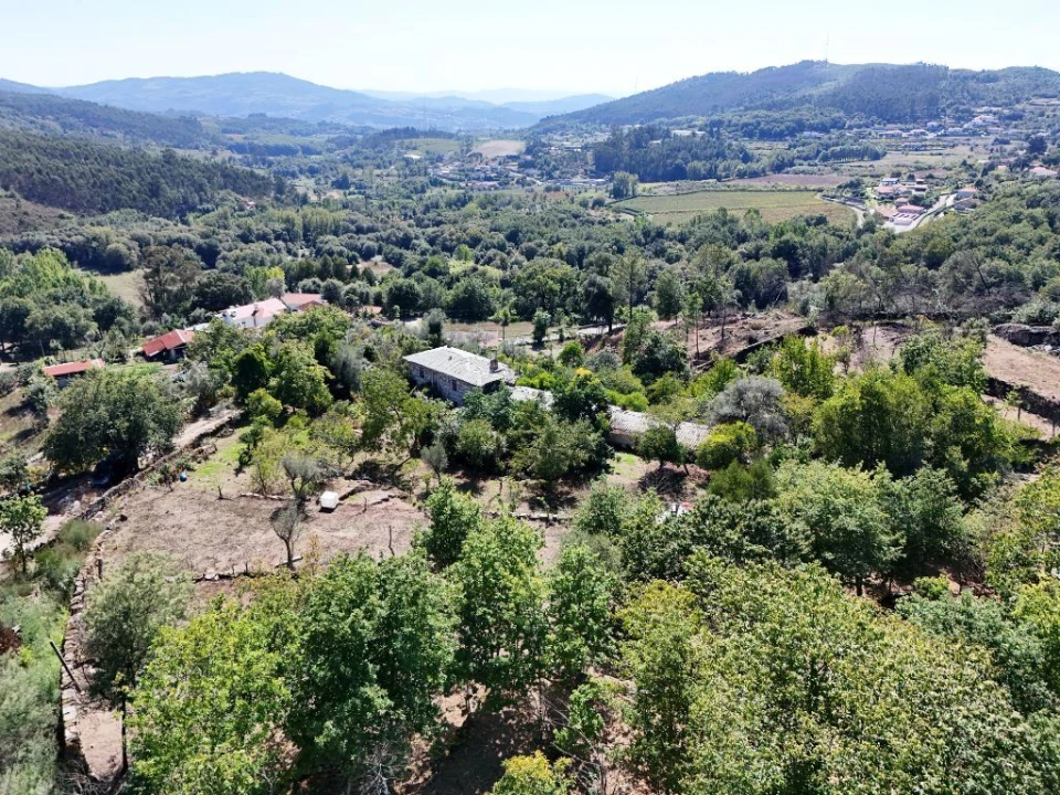 Quinta T3 para Venda em São Torcato Foto 15