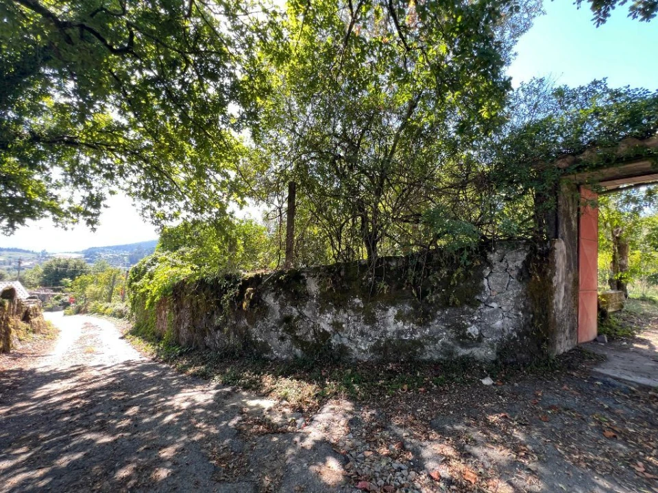 Quinta T3 para Venda em São Torcato Foto 18