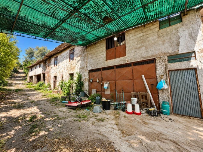 Quinta T3 para Venda em São Torcato Foto 5