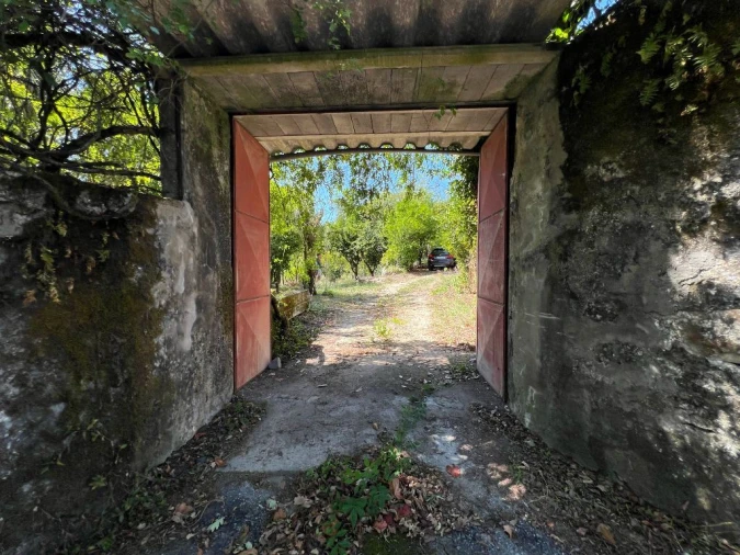 Quinta T3 para Venda em São Torcato Foto 19