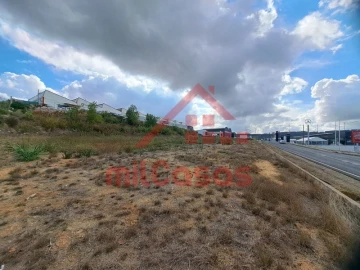 Terreno para Arrendamento em Santa Maria, São Pedro e Matacães