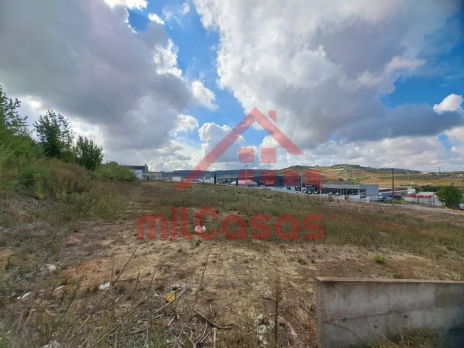 Terreno para Arrendamento em Santa Maria, São Pedro e Matacães Foto 19