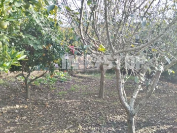 Apartamento T1 para Venda em Aguada de Cima