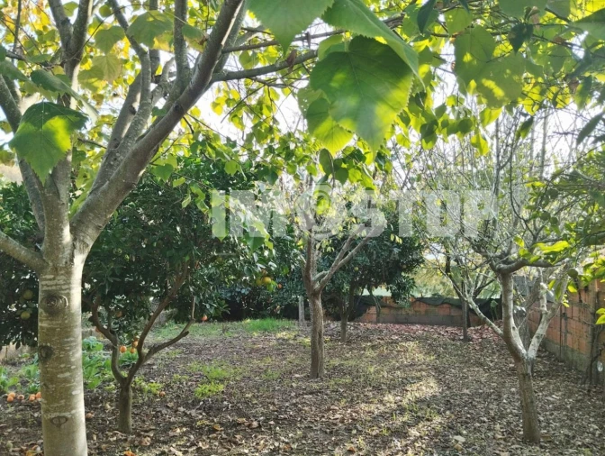 Apartamento T1 para Venda em Aguada de Cima Foto 22