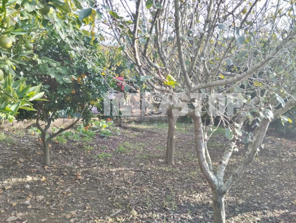 Apartamento T1 para Venda em Aguada de Cima Foto 23