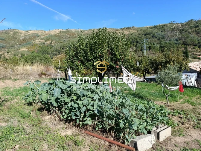 Quinta T0 para Venda em Teixoso e Sarzedo Foto 18