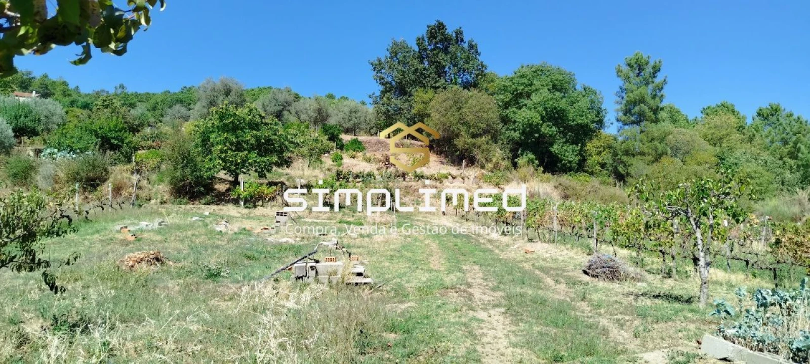 Quinta para Venda em Teixoso e Sarzedo Foto 20