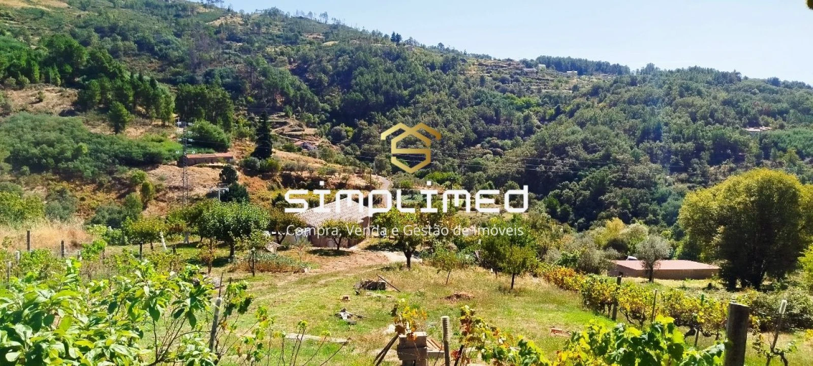 Quinta para Venda em Teixoso e Sarzedo Foto 1