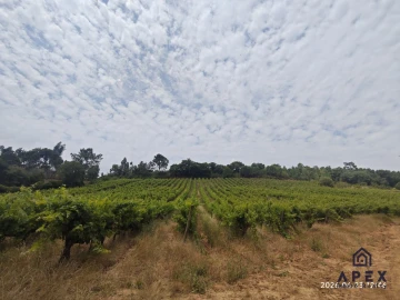 Quinta T4 para Venda em Carvoeira e Carmões