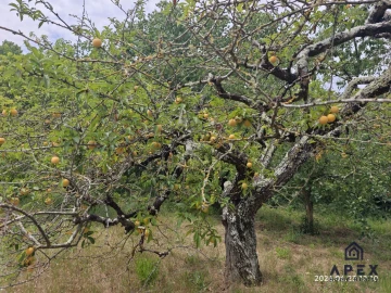 Quinta T4 para Venda em Carvoeira e Carmões