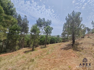 Quinta T4 para Venda em Carvoeira e Carmões