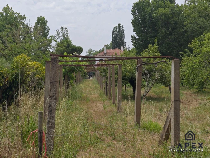 Quinta T4 para Venda em Carvoeira e Carmões Foto 9