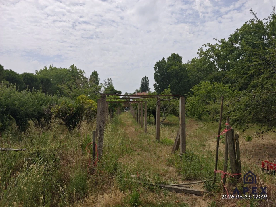 Quinta T4 para Venda em Carvoeira e Carmões Foto 10