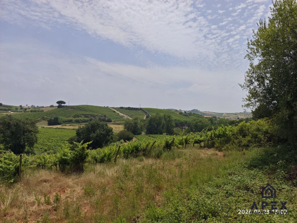 Quinta T4 para Venda em Carvoeira e Carmões Foto 17