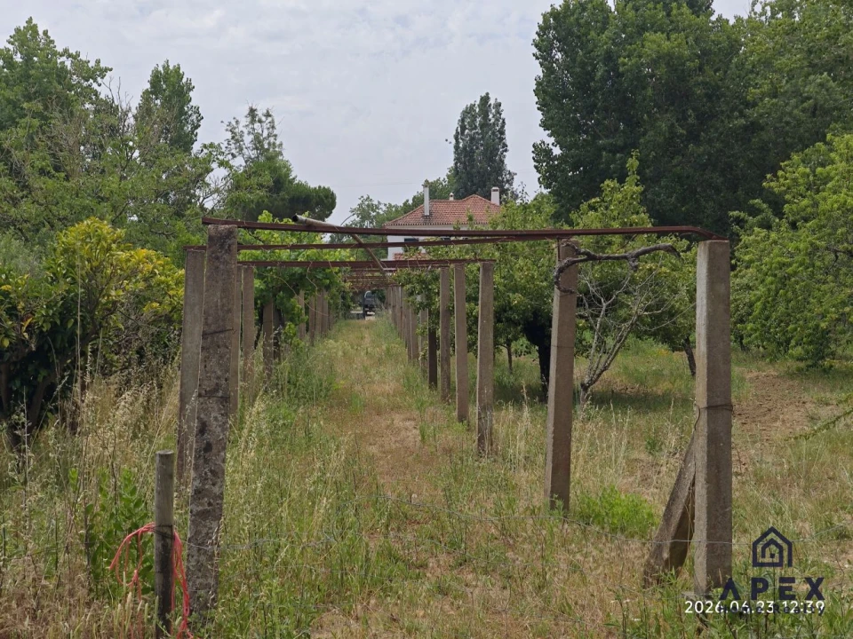 Quinta T4 para Venda em Carvoeira e Carmões Foto 9