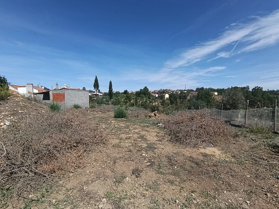 Terreno para Venda em Sardoal Foto 6