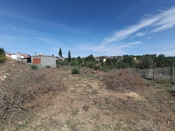 Terreno para Venda em Sardoal